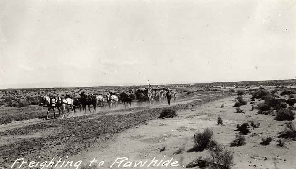 Black and white photo of a team of horses pulling a wagon on a dirt road in the desert, “freighting to Rawhide”